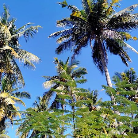 ギリ島 Exotic Houseヴィラ エクステリア 写真