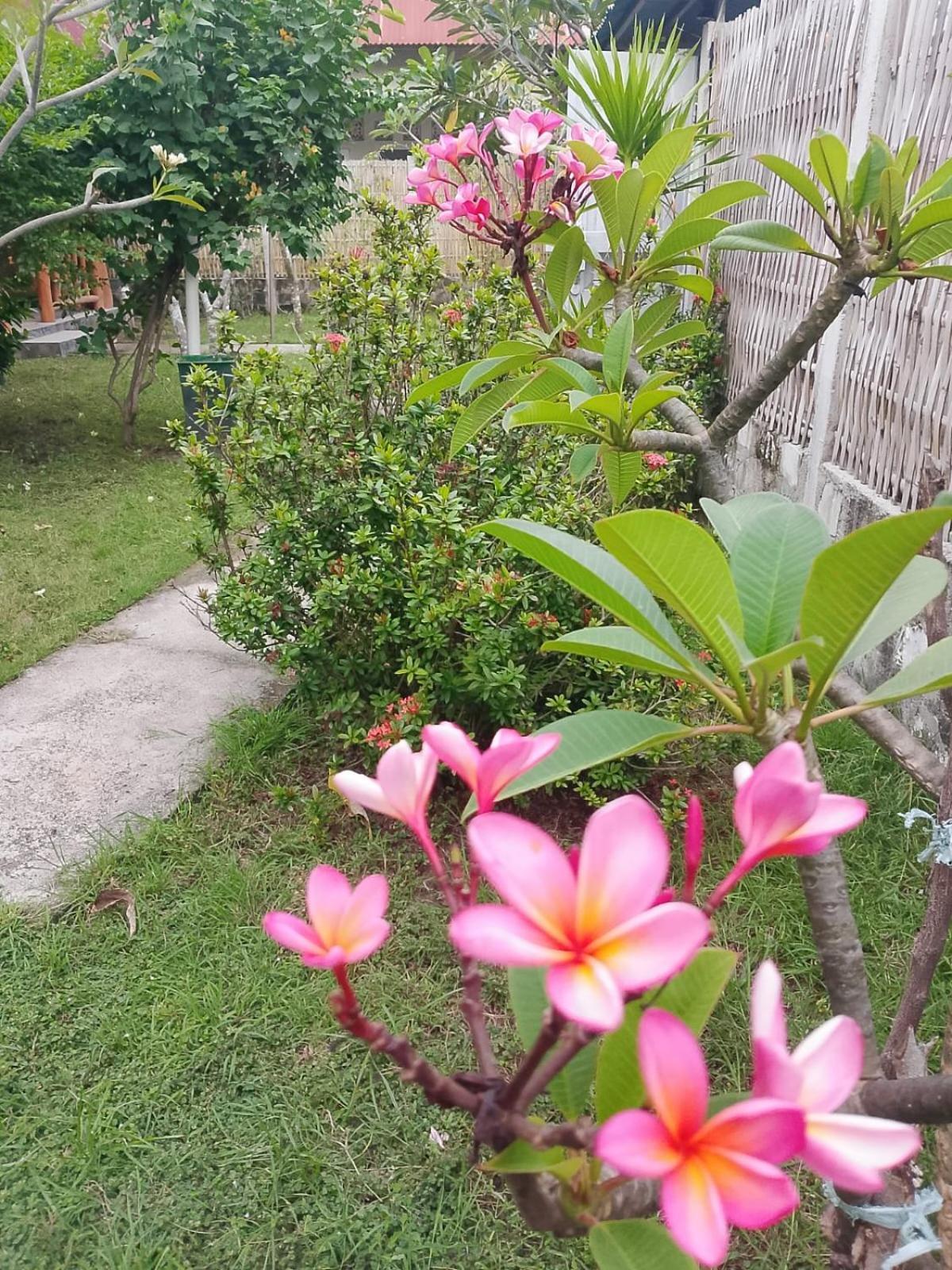 ギリ島 Exotic Houseヴィラ 部屋 写真